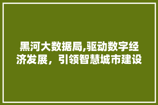 黑河大数据局,驱动数字经济发展，引领智慧城市建设 百度SEO