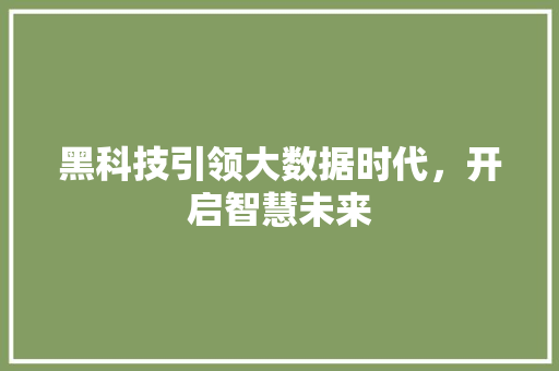 黑科技引领大数据时代，开启智慧未来 神马SEO