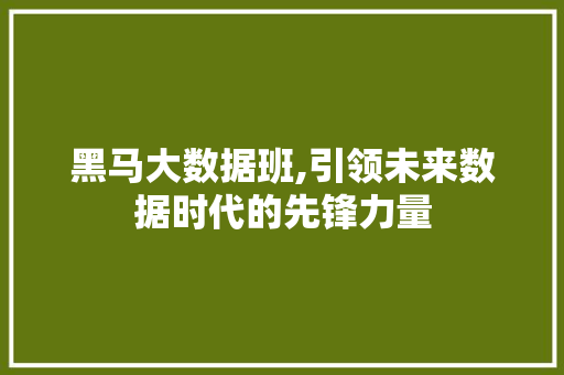 黑马大数据班,引领未来数据时代的先锋力量 搜狗SEO