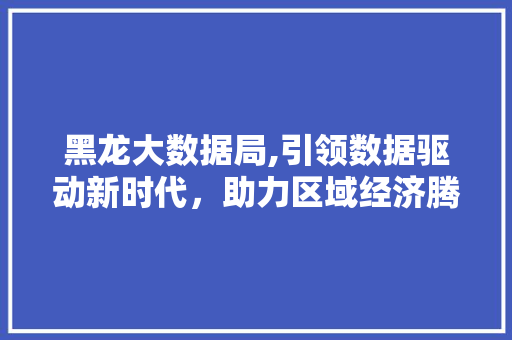 黑龙大数据局,引领数据驱动新时代，助力区域经济腾飞 GoogleSEO