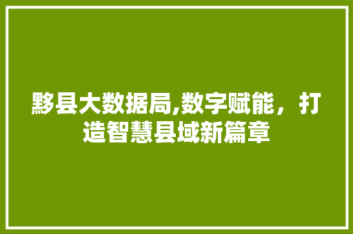 黟县大数据局,数字赋能，打造智慧县域新篇章 百度SEO