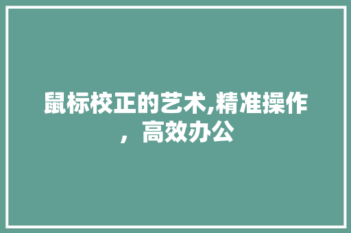 鼠标校正的艺术,精准操作，高效办公 GoogleSEO