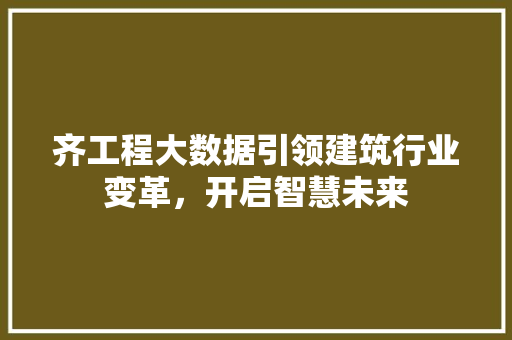 齐工程大数据引领建筑行业变革，开启智慧未来 百度SEO