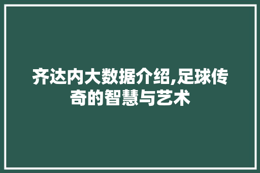 齐达内大数据介绍,足球传奇的智慧与艺术