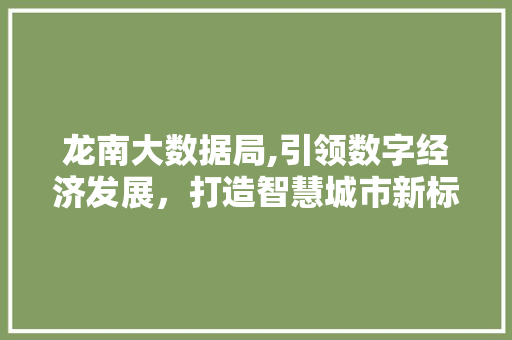 龙南大数据局,引领数字经济发展，打造智慧城市新标杆 GoogleSEO