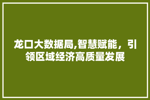 龙口大数据局,智慧赋能，引领区域经济高质量发展 神马SEO