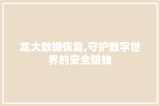 龙大数据恢复,守护数字世界的安全防线 GoogleSEO