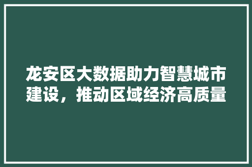 龙安区大数据助力智慧城市建设，推动区域经济高质量发展 百度SEO