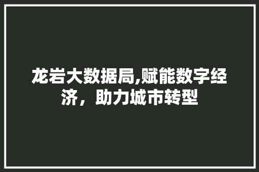 龙岩大数据局,赋能数字经济，助力城市转型 搜狗SEO