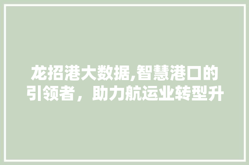 龙招港大数据,智慧港口的引领者，助力航运业转型升级 GoogleSEO