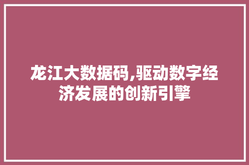 龙江大数据码,驱动数字经济发展的创新引擎 百度SEO