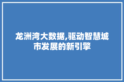 龙洲湾大数据,驱动智慧城市发展的新引擎 GoogleSEO