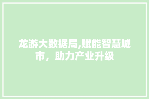 龙游大数据局,赋能智慧城市，助力产业升级 必应SEO