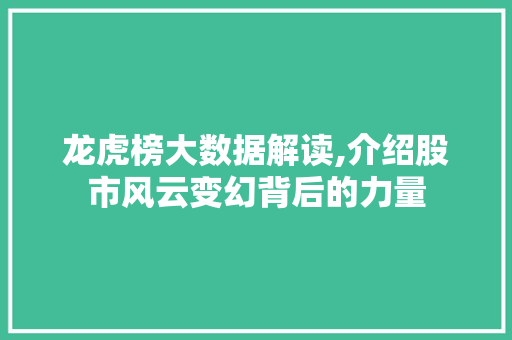 龙虎榜大数据解读,介绍股市风云变幻背后的力量 百度SEO