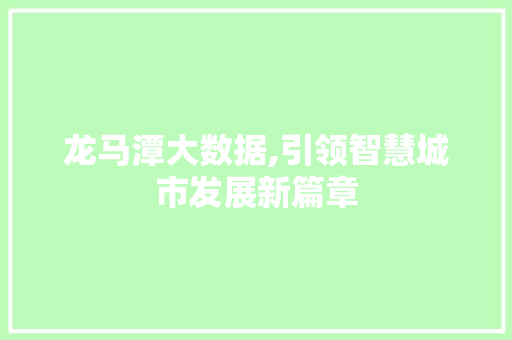 龙马潭大数据,引领智慧城市发展新篇章 必应SEO