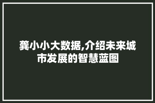 龚小小大数据,介绍未来城市发展的智慧蓝图 GoogleSEO