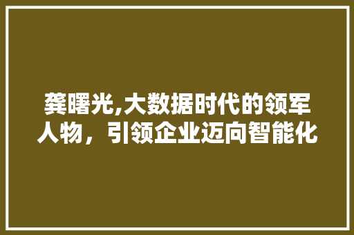 龚曙光,大数据时代的领军人物，引领企业迈向智能化未来