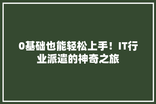 0基础也能轻松上手！IT行业派遣的神奇之旅 必应SEO