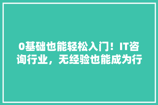 0基础也能轻松入门！IT咨询行业，无经验也能成为行业精英 必应SEO