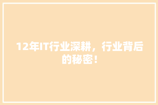 12年IT行业深耕，行业背后的秘密！ 神马SEO