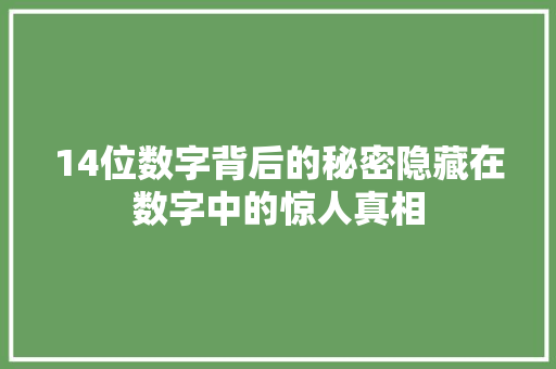 14位数字背后的秘密隐藏在数字中的惊人真相 GoogleSEO