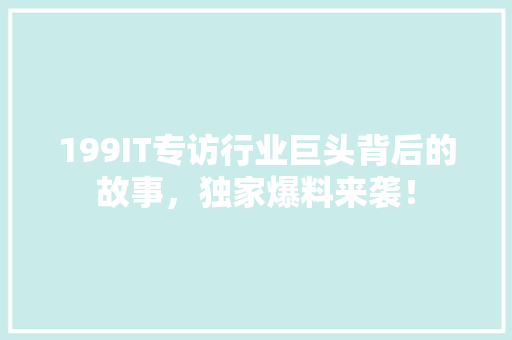 199IT专访行业巨头背后的故事，独家爆料来袭！ 必应SEO