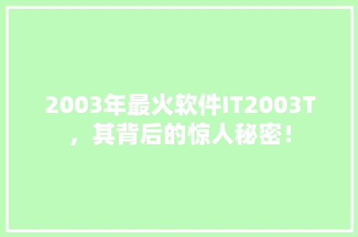 2003年最火软件IT2003T，其背后的惊人秘密！ GoogleSEO