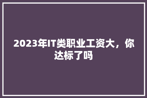 2023年IT类职业工资大，你达标了吗 神马SEO