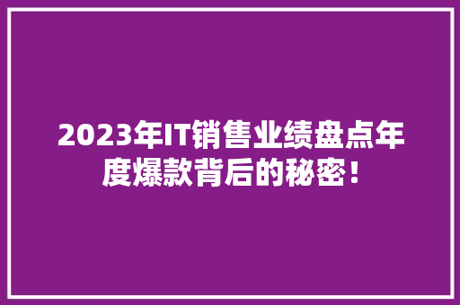 2023年IT销售业绩盘点年度爆款背后的秘密！ 百度SEO