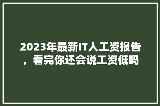 2023年最新IT人工资报告，看完你还会说工资低吗 必应SEO