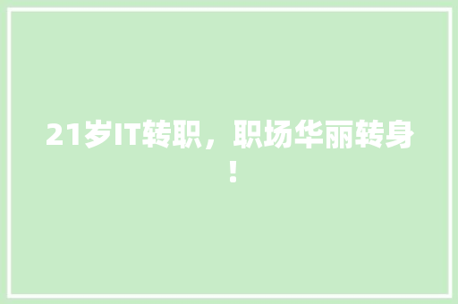 21岁IT转职，职场华丽转身！ 必应SEO