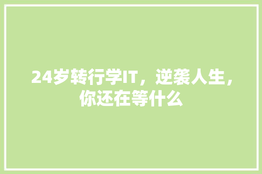 24岁转行学IT，逆袭人生，你还在等什么 GoogleSEO