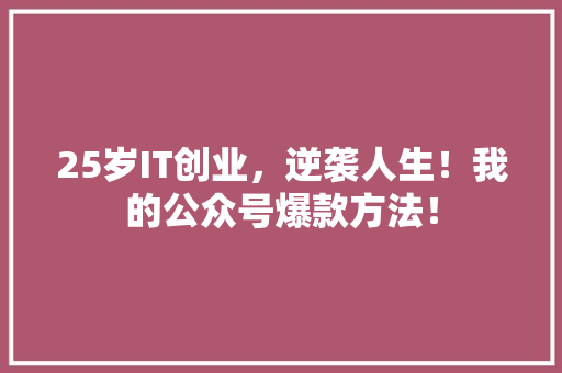 25岁IT创业，逆袭人生！我的公众号爆款方法！ 必应SEO