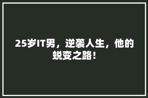 25岁IT男，逆袭人生，他的蜕变之路！ 搜狗SEO
