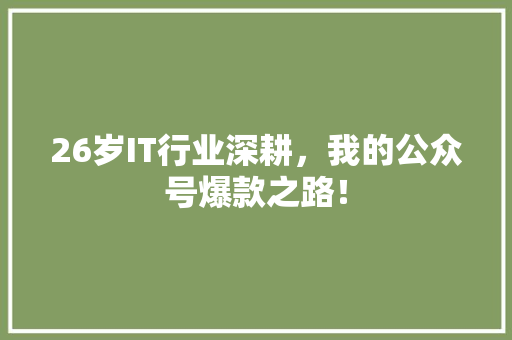 26岁IT行业深耕，我的公众号爆款之路！ 百度SEO