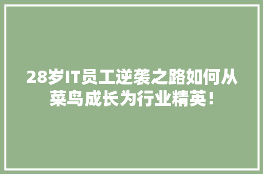 28岁IT员工逆袭之路如何从菜鸟成长为行业精英！ GoogleSEO