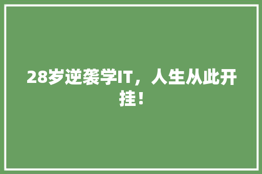 28岁逆袭学IT，人生从此开挂！ 百度SEO