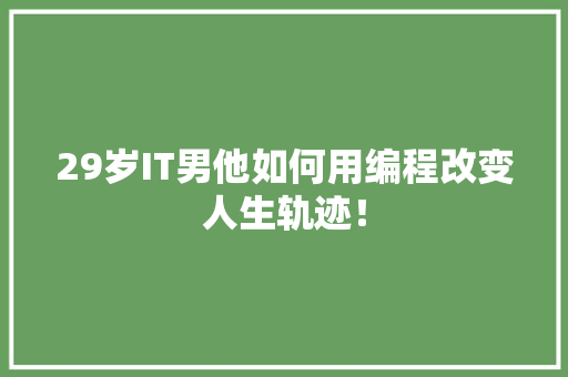 29岁IT男他如何用编程改变人生轨迹！ GoogleSEO