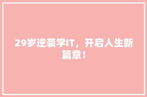 29岁逆袭学IT，开启人生新篇章！ 搜狗SEO