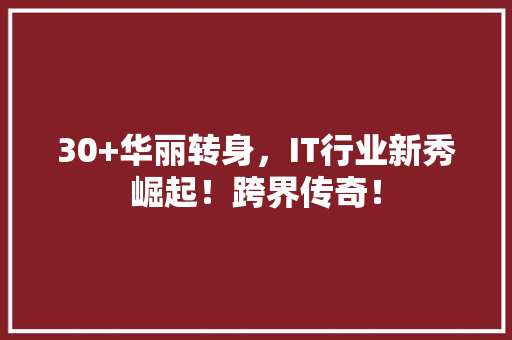 30+华丽转身，IT行业新秀崛起！跨界传奇！ 搜狗SEO