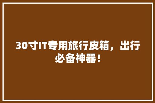 30寸IT专用旅行皮箱，出行必备神器！ 必应SEO