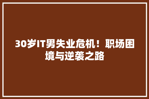30岁IT男失业危机！职场困境与逆袭之路 神马SEO