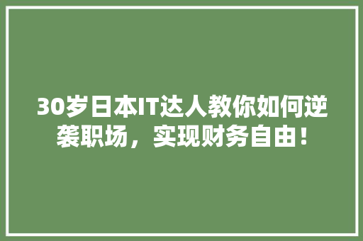 30岁日本IT达人教你如何逆袭职场，实现财务自由！ 百度SEO