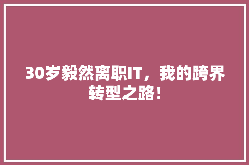 30岁毅然离职IT，我的跨界转型之路！ 搜狗SEO
