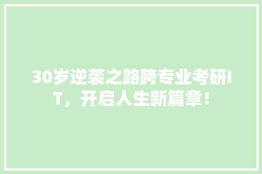 30岁逆袭之路跨专业考研IT，开启人生新篇章！ 百度SEO