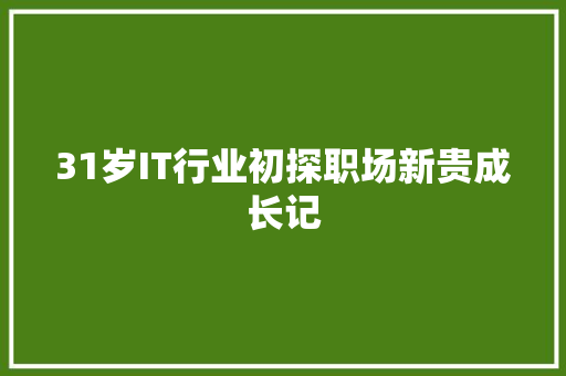 31岁IT行业初探职场新贵成长记 必应SEO