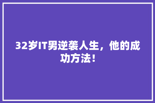 32岁IT男逆袭人生，他的成功方法！ GoogleSEO