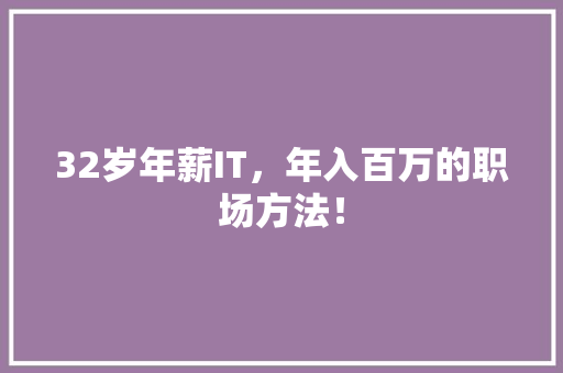 32岁年薪IT，年入百万的职场方法！ 搜狗SEO