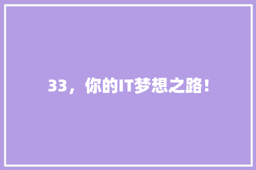 33，你的IT梦想之路！ 必应SEO