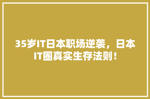 35岁IT日本职场逆袭，日本IT圈真实生存法则！ 神马SEO